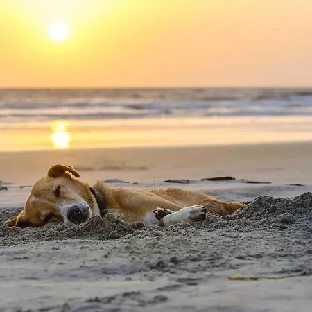 Strandlounge - 5 Sterne-wohnung Mit Xxl-balkon, Wellness & Boddenblick 欧巴德伍斯图