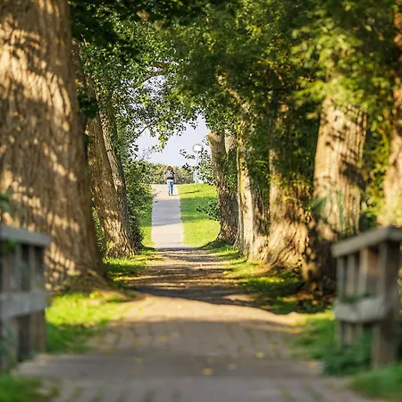 Strandlounge - 5 Sterne-wohnung Mit Xxl-balkon, Wellness & Boddenblick